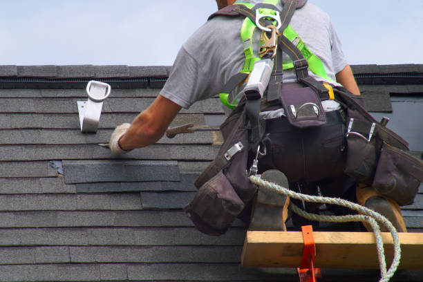 Best Roof Gutter Cleaning  in Corte Madera, CA